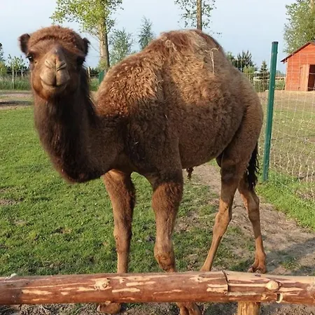 Farma Üdülőközpont