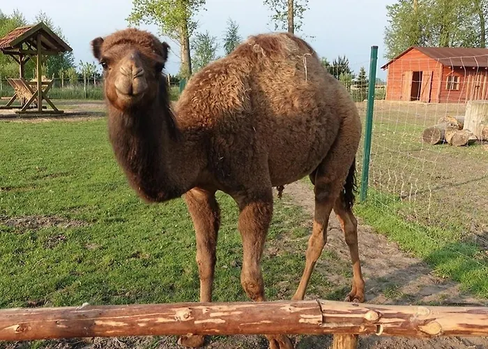 Farma Курортный комплекс