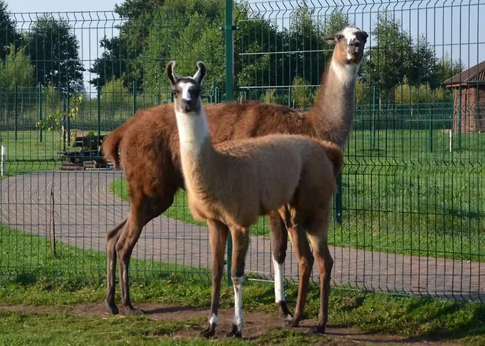 Курортный комплекс Farma