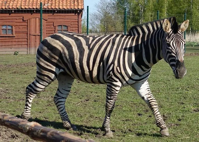 Farma Курортный комплекс