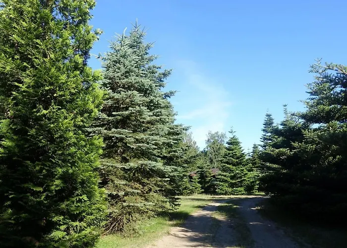 Курортный комплекс Farma *